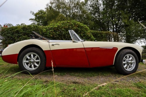 1966 Austin Healey 3000 En venta (imagen 4 de 150)