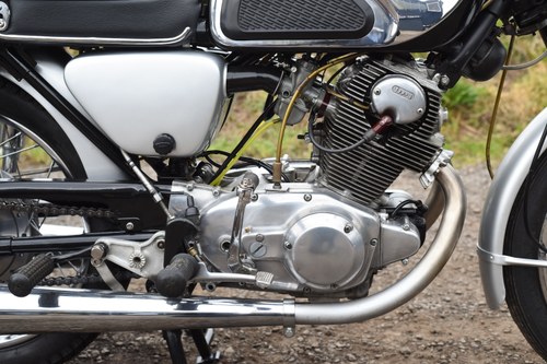 1967 Honda CB72 250 zum Verkauf (Bild 41 von 91)