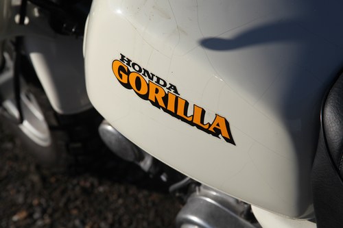 1989 Honda Gorilla For Sale (picture 58 of 81)
