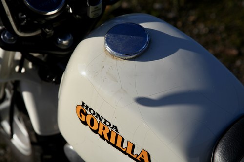 1989 Honda Gorilla For Sale (picture 57 of 81)