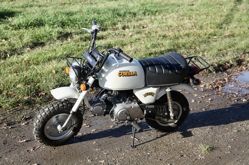 1989 Honda Gorilla For Sale (picture 4 of 81)