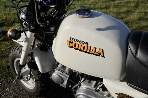 1989 Honda Gorilla For Sale (picture 67 of 81)