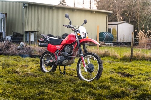 1982 Honda XL500R à vendre (picture 8 of 50)