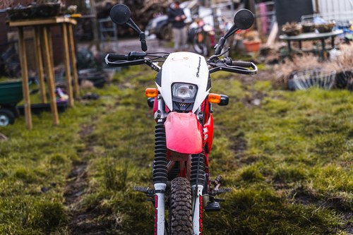 1982 Honda XL500R à vendre (picture 7 of 50)