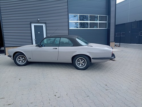 1976 Jaguar XJ-C V12 à vendre (picture 3 of 148)