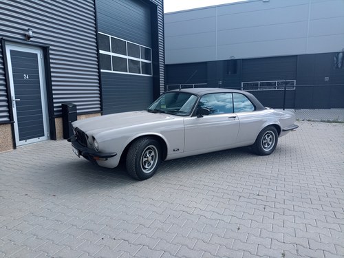 1976 Jaguar XJ-C V12 à vendre (picture 6 of 148)