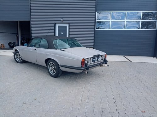 1976 Jaguar XJ-C V12 à vendre (picture 13 of 148)