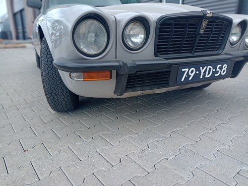 1976 Jaguar XJ-C V12 à vendre (picture 103 of 148)