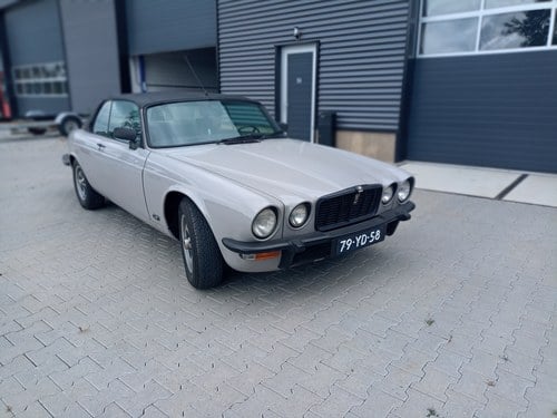 1976 Jaguar XJ-C V12 à vendre (picture 18 of 148)