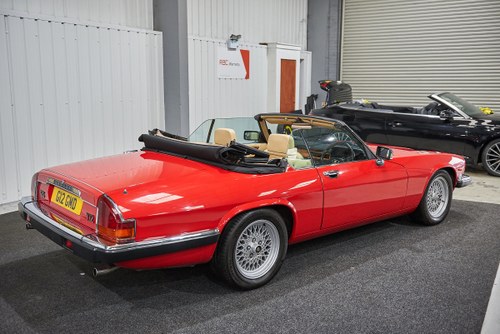 1989 Jaguar XJ-S 5.3L Convertible Auto à vendre (picture 6 of 174)