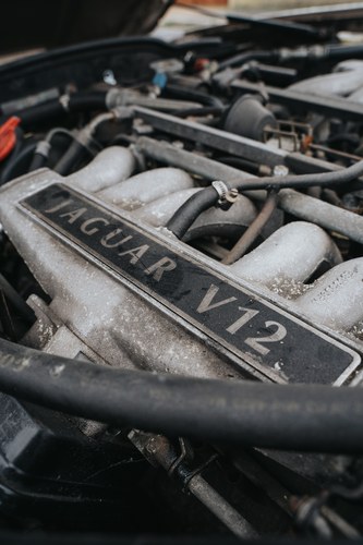 1991 Jaguar XJS V12 Coupe For Sale (picture 102 of 116)