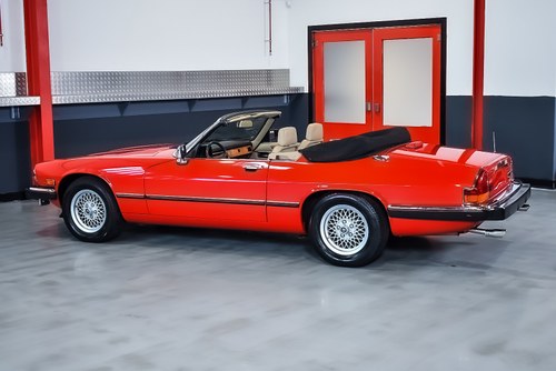 1991 Jaguar XJS Convertible 5.3L V12 LHD zum Verkauf (Bild 19 von 83)