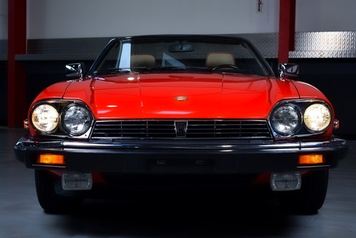 1991 Jaguar XJS Convertible 5.3L V12 LHD zum Verkauf (Bild 4 von 83)