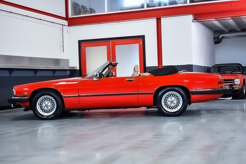 1991 Jaguar XJS Convertible 5.3L V12 LHD zum Verkauf (Bild 20 von 83)
