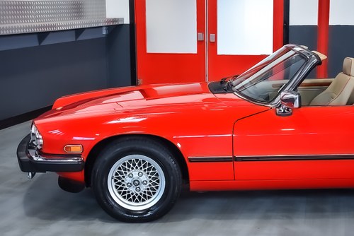 1991 Jaguar XJS Convertible 5.3L V12 LHD zum Verkauf (Bild 56 von 83)