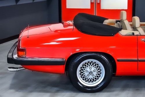 1991 Jaguar XJS Convertible 5.3L V12 LHD zum Verkauf (Bild 68 von 83)