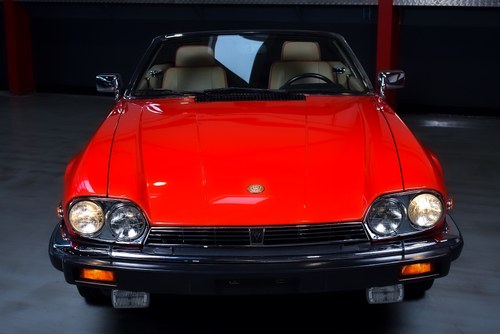 1991 Jaguar XJS Convertible 5.3L V12 LHD zum Verkauf (Bild 3 von 83)