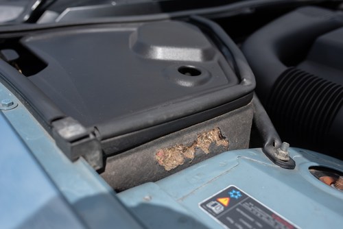 2005 Jaguar XK8 Convertible à vendre (picture 138 of 171)