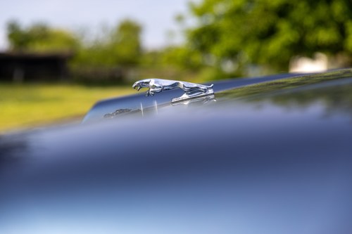 1988 Jaguar XJ-S Coupe For Sale (picture 111 of 180)