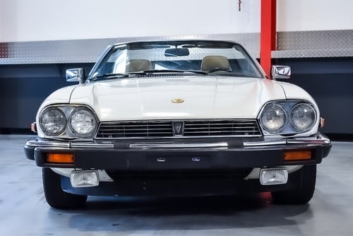 1991 Jaguar XJS Convertible 5.3-litre V12 LHD à vendre (picture 19 of 110)