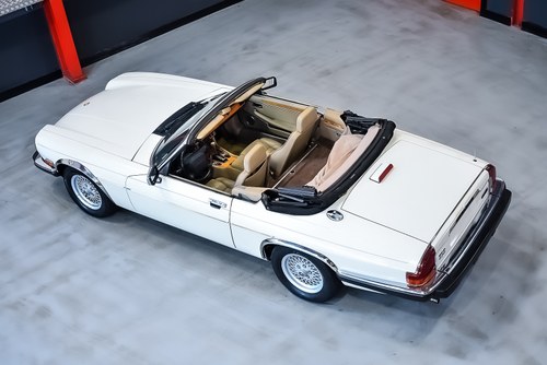 1991 Jaguar XJS Convertible 5.3-litre V12 LHD à vendre (picture 10 of 110)