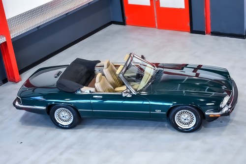 1992 Jaguar XJS Convertible 5.3L V12 LHD à vendre (picture 6 of 82)
