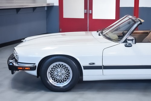 NO RESERVE 1992 Jaguar XJS Convertible 5,3L V12 - LHD In vendita (immagine 79 di 100)