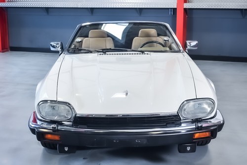 NO RESERVE 1992 Jaguar XJS Convertible 5,3L V12 - LHD In vendita (immagine 3 di 100)