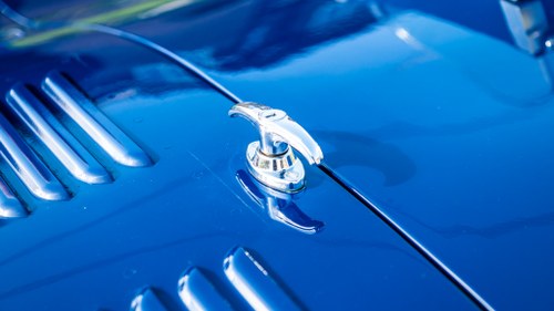 1972 Jaguar C-Type by Proteus En venta (imagen 101 de 196)