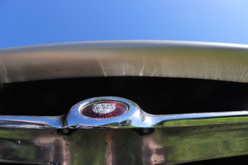 1964 Jaguar E-Type Series 1 FHC For Sale (picture 91 of 109)