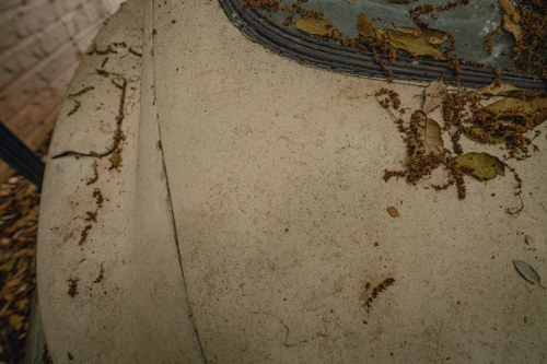 NO RESERVE 1971 Jaguar E-Type Series III 2+2 Manual In vendita (immagine 189 di 241)