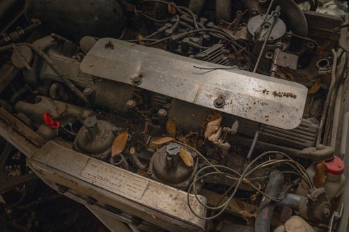 NO RESERVE 1971 Jaguar E-Type Series III 2+2 Manual In vendita (immagine 195 di 241)