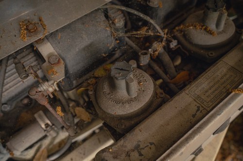 NO RESERVE 1971 Jaguar E-Type Series III 2+2 Manual In vendita (immagine 214 di 241)