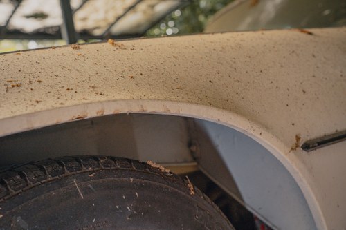 NO RESERVE 1971 Jaguar E-Type Series III 2+2 Manual In vendita (immagine 168 di 241)