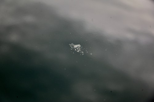 NO RESERVE - 2005 Jaguar S-Type 3.0 Sport Auto à vendre (picture 97 of 134)