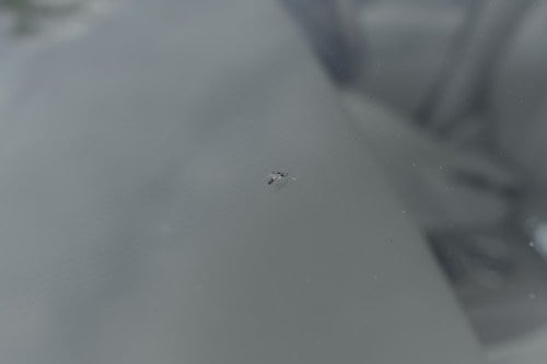 2003 Jaguar S Type 4.2 SE à venda (imagem 114 de 158)