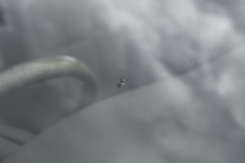 2003 Jaguar S Type 4.2 SE à venda (imagem 113 de 158)