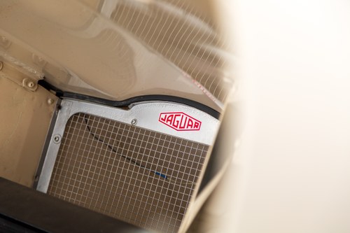 1962 Jaguar E-Type 3.8l Series 1 OTS LHD For Sale (picture 88 of 112)