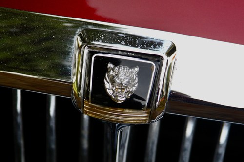 1984 Jaguar XJ6 4.2 Sovereign For Sale (picture 81 of 112)