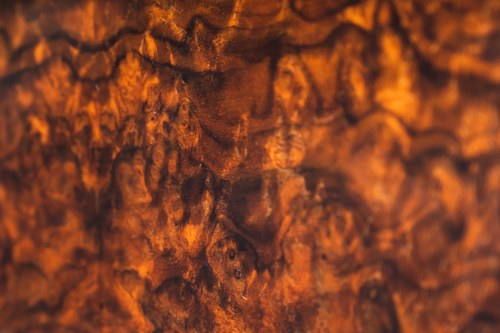 2010 Jaguar XF 3.0d Luxury For Sale (picture 55 of 109)