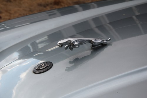 NO RESERVE - 1989 Jaguar XJ-S 3.6 à vendre (picture 54 of 71)