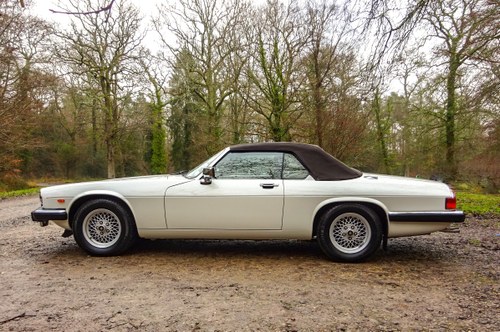 1988 Jaguar XJS-HE Convertible 5.3 V12 En venta (imagen 26 de 172)