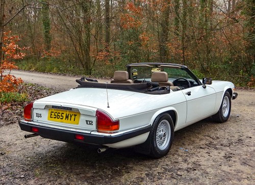 1988 Jaguar XJS-HE Convertible 5.3 V12 En venta (imagen 28 de 172)
