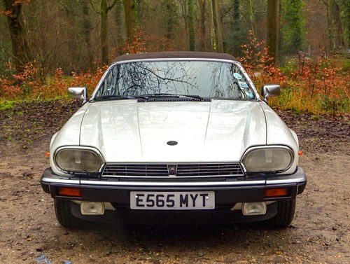 1988 Jaguar XJS-HE Convertible 5.3 V12 En venta (imagen 14 de 172)