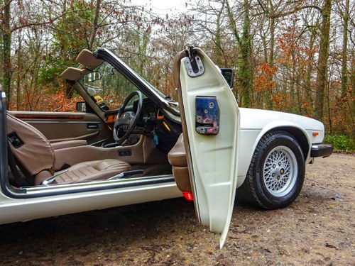 1988 Jaguar XJS-HE Convertible 5.3 V12 En venta (imagen 95 de 172)