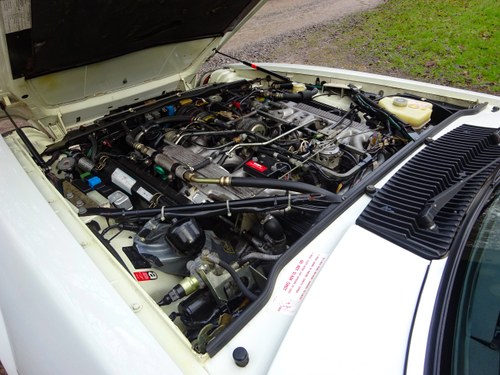 1988 Jaguar XJS-HE Convertible 5.3 V12 En venta (imagen 149 de 172)