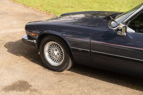 1989 Jaguar XJ-S V12 In vendita (immagine 185 di 257)