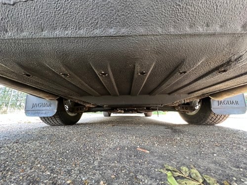 1989 Jaguar XJ-S V12 In vendita (immagine 232 di 257)