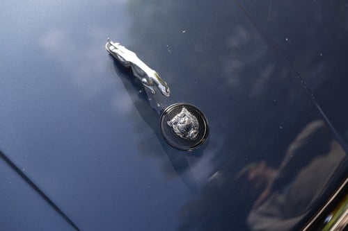 1989 Jaguar XJ-S V12 In vendita (immagine 155 di 257)