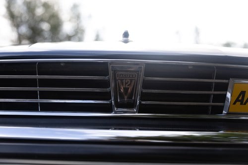 1989 Jaguar XJ-S V12 In vendita (immagine 199 di 257)